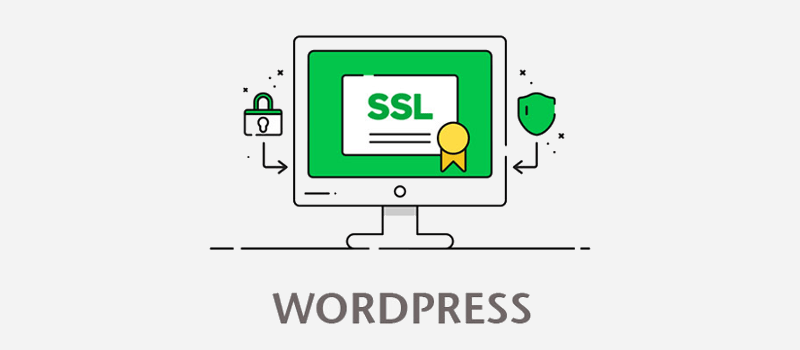 آموزش فعال کردن امنیت SSL برای سایت های وردپرسی - سئو لرن