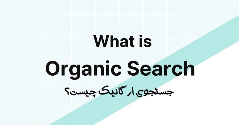 جستجوی ارگانیک (organic search) چیست؟ - سئو لرن